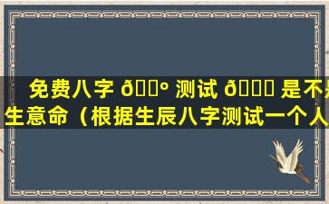 免费八字 🐺 测试 🐞 是不是生意命（根据生辰八字测试一个人的财运）